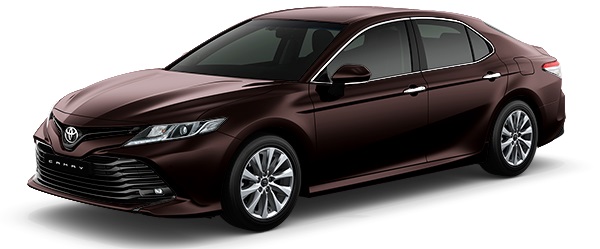 Toyota Camry 2018 Màu Nâu 4W9